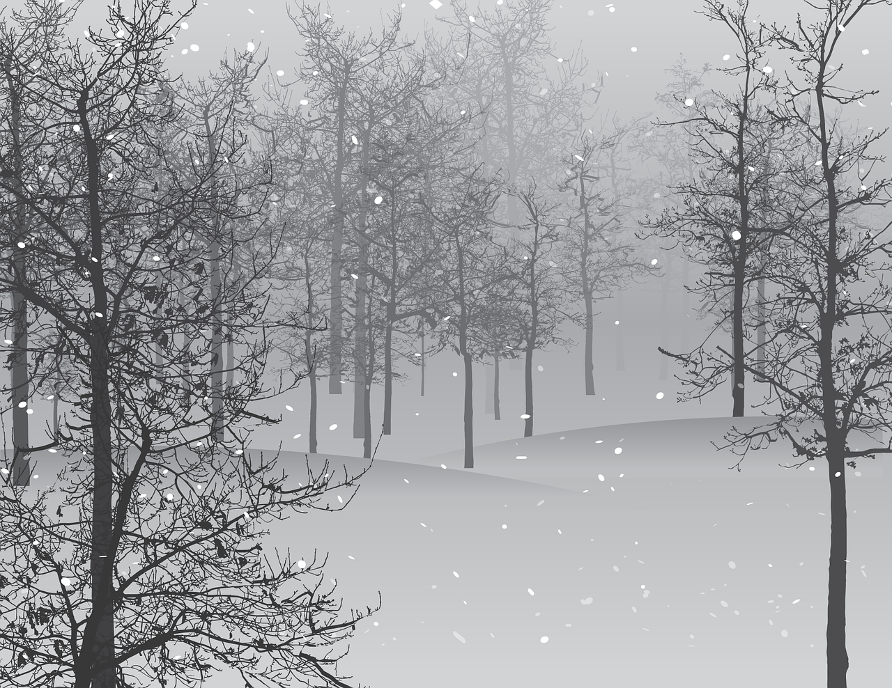 Read more about the article Runo: Helmikuu